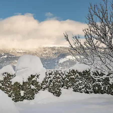 Haus Sonnengarten-lienz *