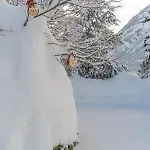 Apartament Haus Sonnengarten-lienz