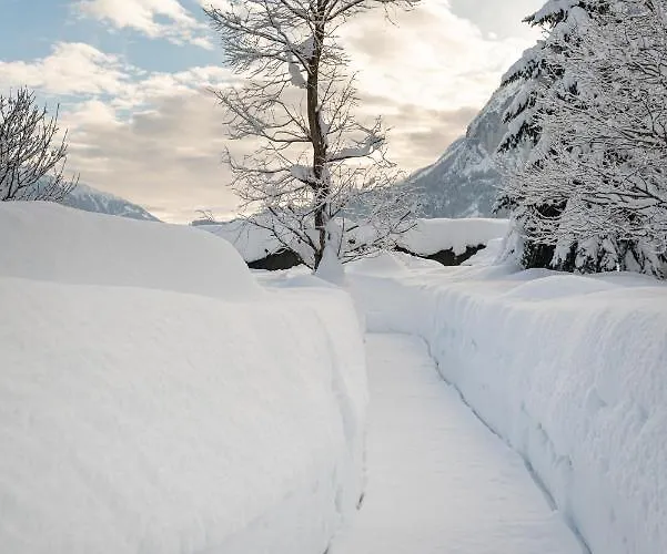Lägenhet Haus Sonnengarten-lienz