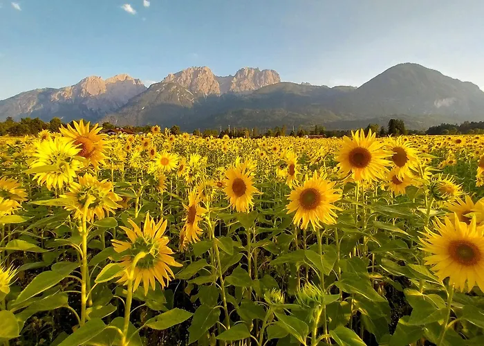 Lägenhet Haus Sonnengarten-lienz Lienz